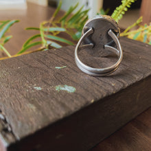 Load image into Gallery viewer, Cowrie shell beach ring sterling silver on wood background