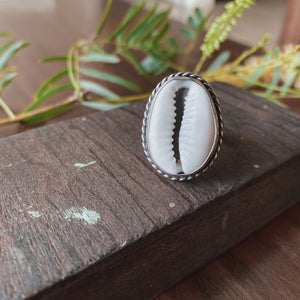Cowrie shell beach ring sterling silver on wood background